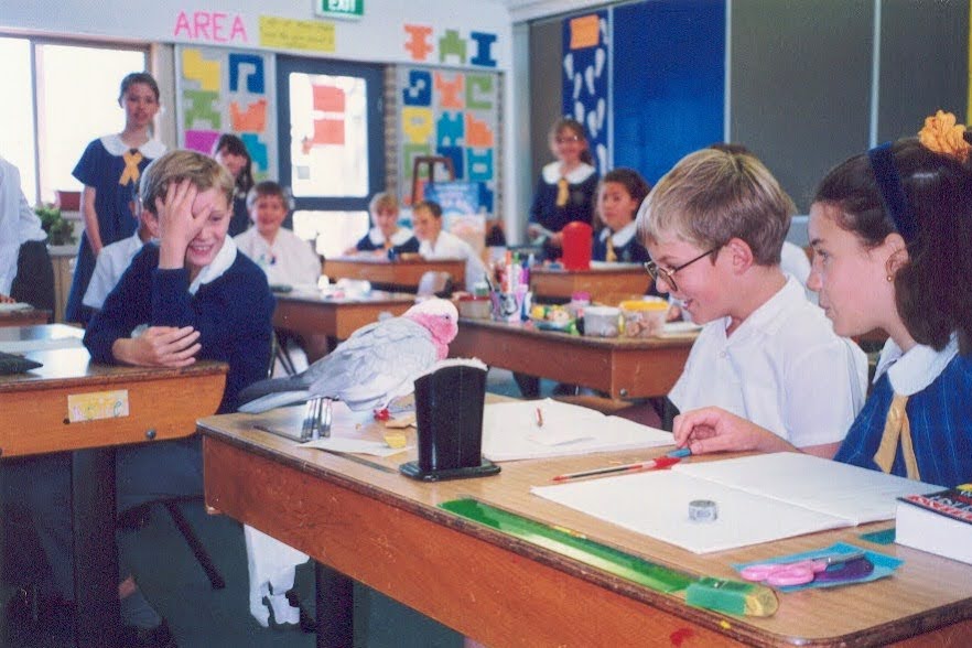 A classroom visitor