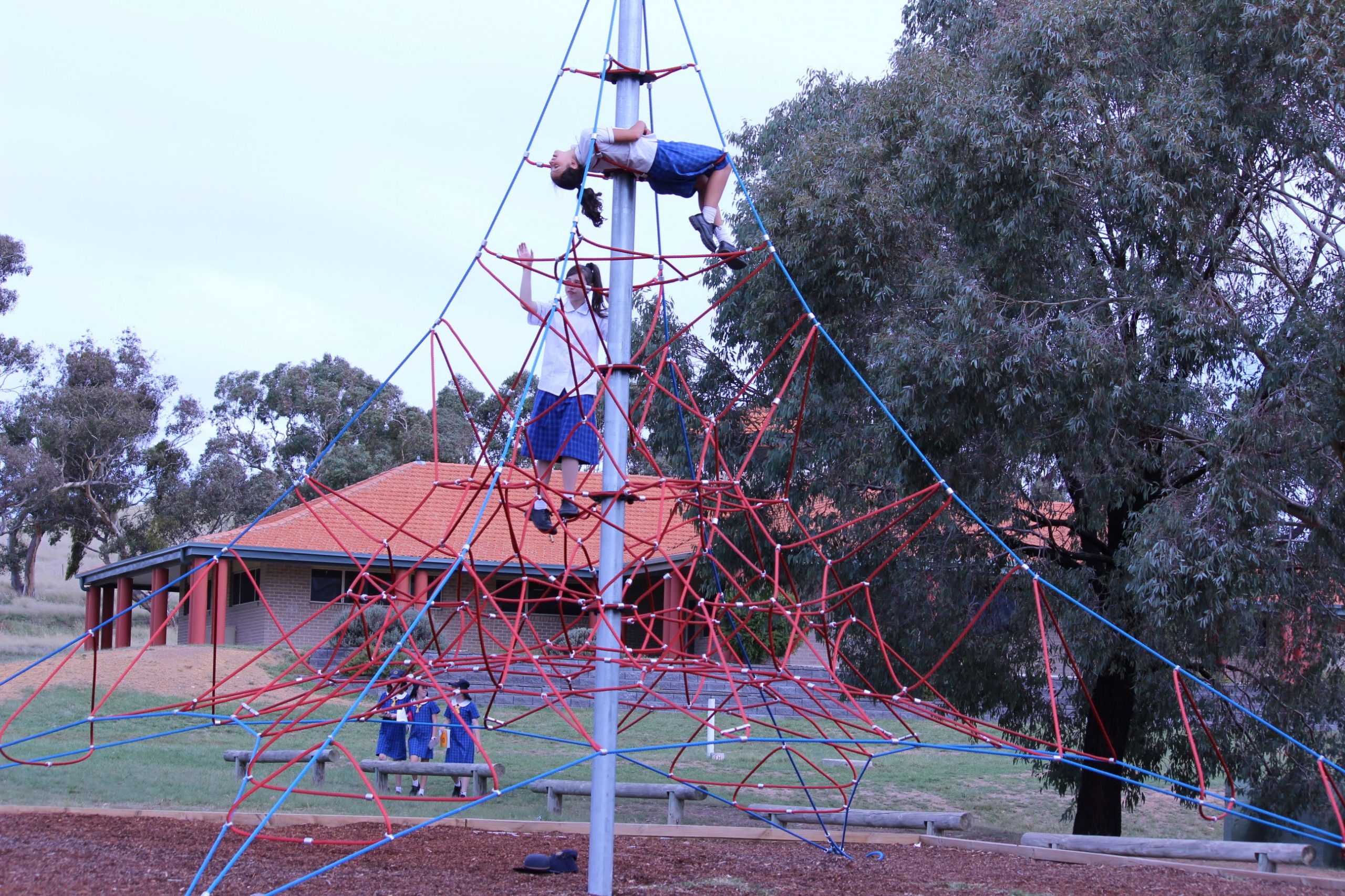 Spider web climbing frame 2019